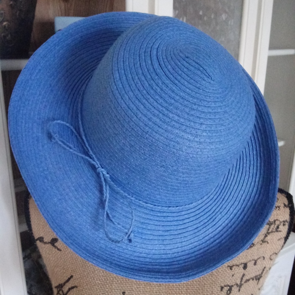 Blue Hat